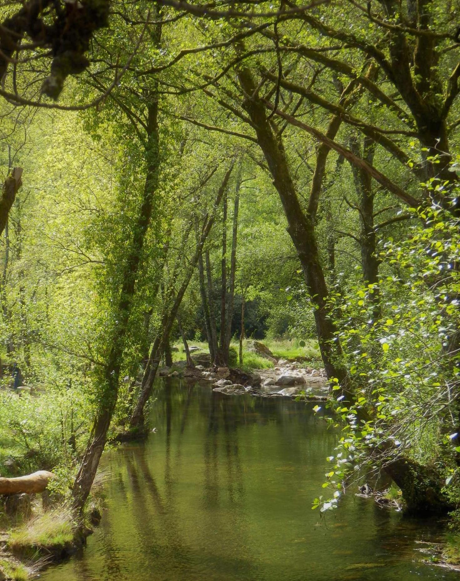 O Homem Verde Penela Εξωτερικό φωτογραφία